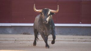 Las Ventas: September, the Month of the Bull