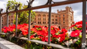 San Isidro 2025 Confirmations