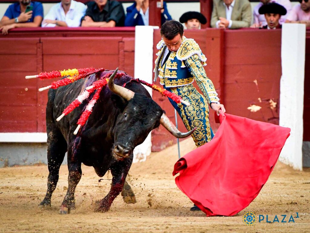 Imágen: Plaza 1- Las Ventas