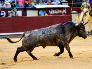 Corrida de toros In Memoriam - Victorino Martín