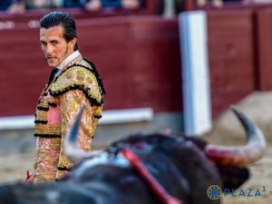 Plaza de toros de Las Ventas, Madrid - Corrida novillos 6 abril 2025