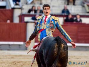 Crónica Corrida de novillos Madrid - 30 marzo 2025