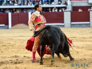 Paco Ureña saluda en el toro de más opciones - 15 mayo 2025