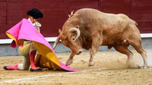 Plaza de toros de Madrid Las Ventas - 2 octubre 2025. Reseña