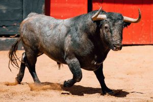 Las ganaderías de San Isidro 2026