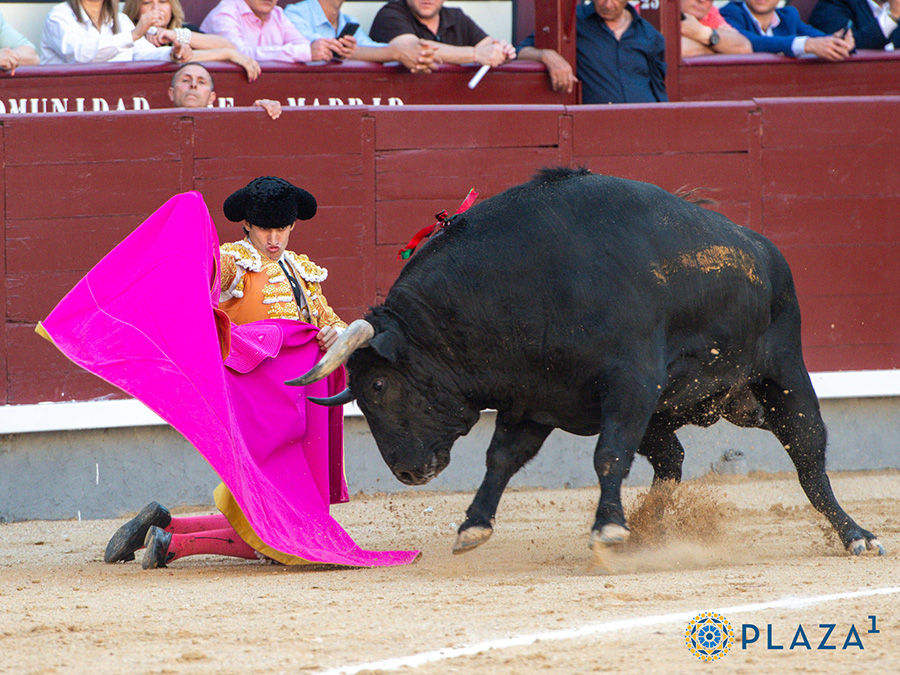 Reseña Madrid – 19 abril 2026