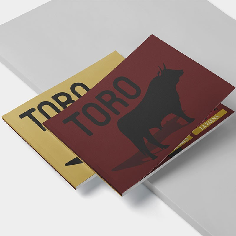 Qué es una corrida de toros
