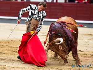 RESEÑA MADRID – 2 MAYO 2026