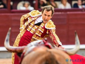 Torero Román