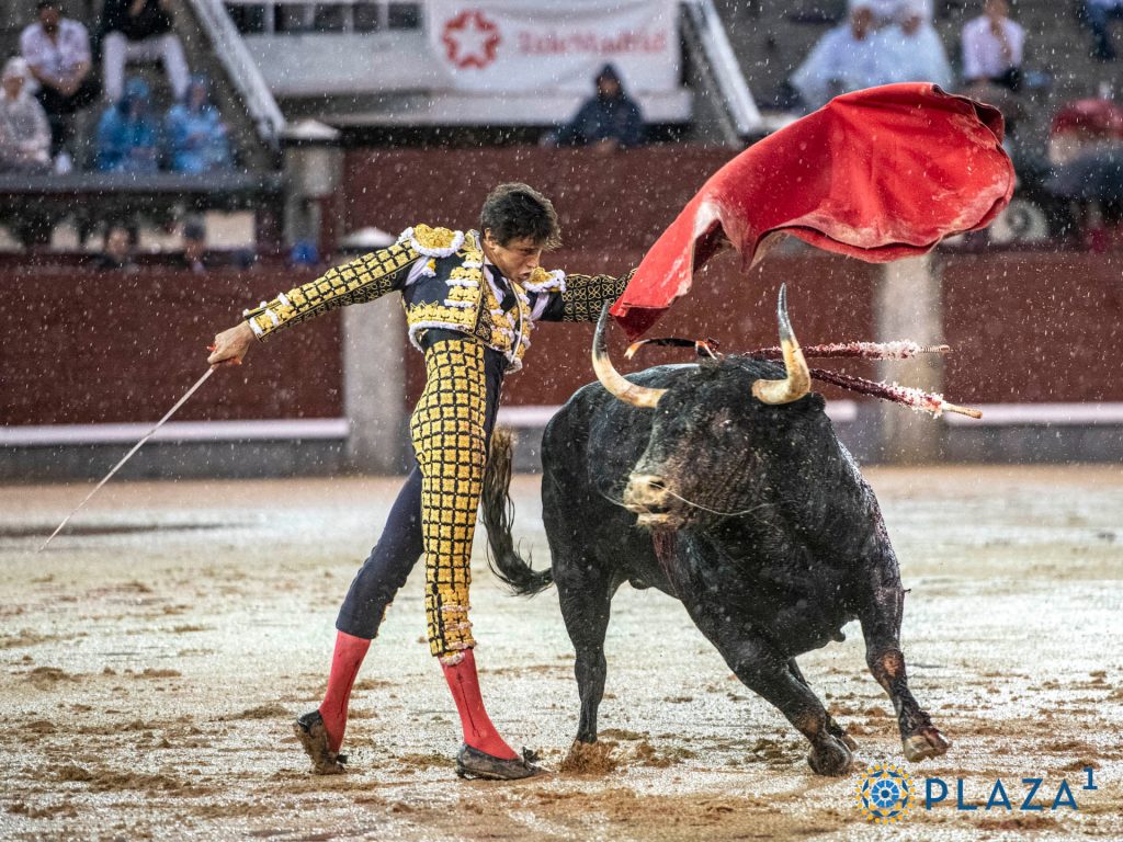 Plaza de toros de Madrid, Las Ventas | crónica Corrida Beneficencia 14 junio 2026 | Servitoro