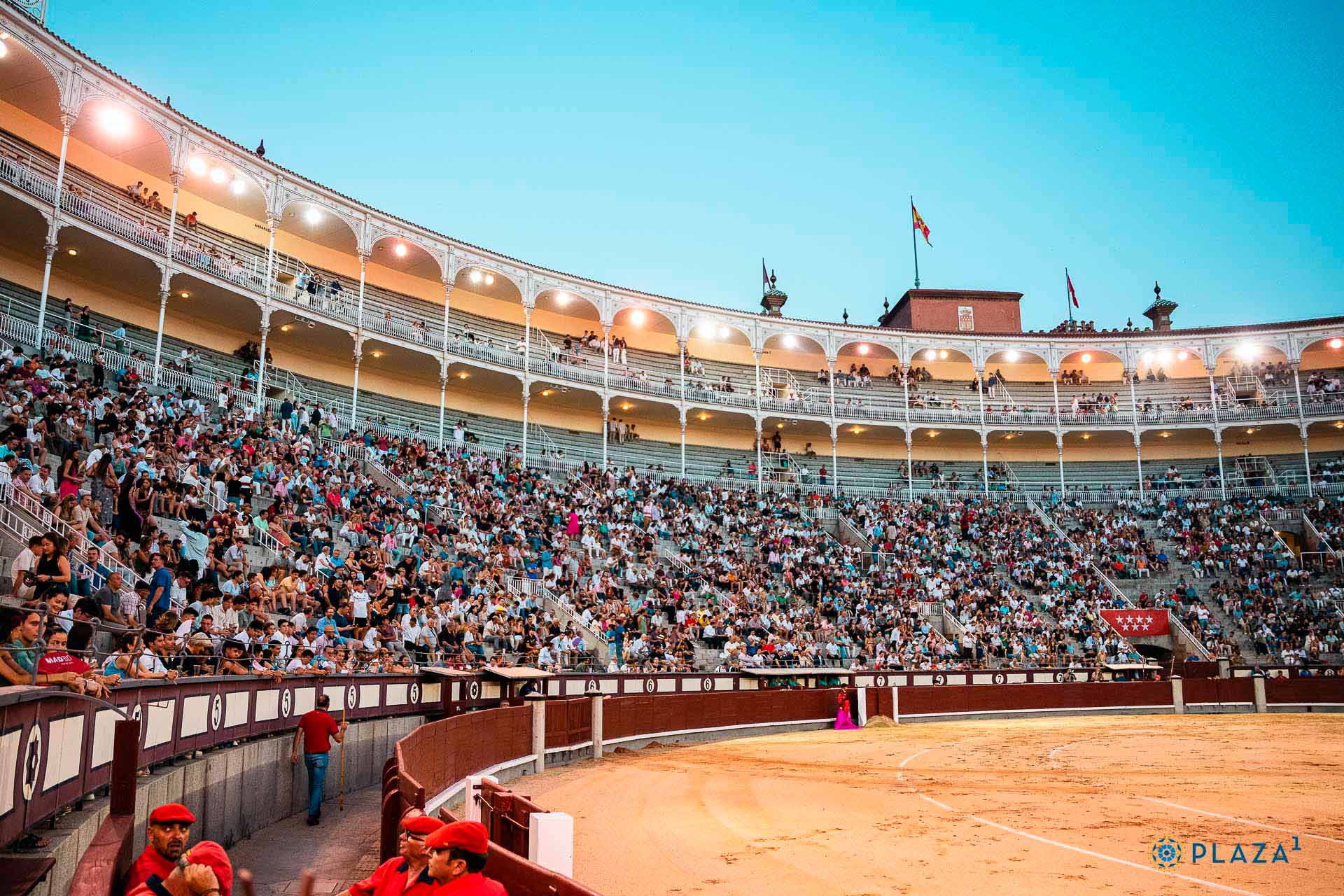 Toros y Food Trucks bajo las estrellas