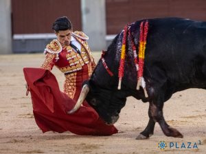 Plaza de toros de Las Ventas, Madrid | Certamen de novilladas nocturnas 2 julio 2026 | Sevitoro