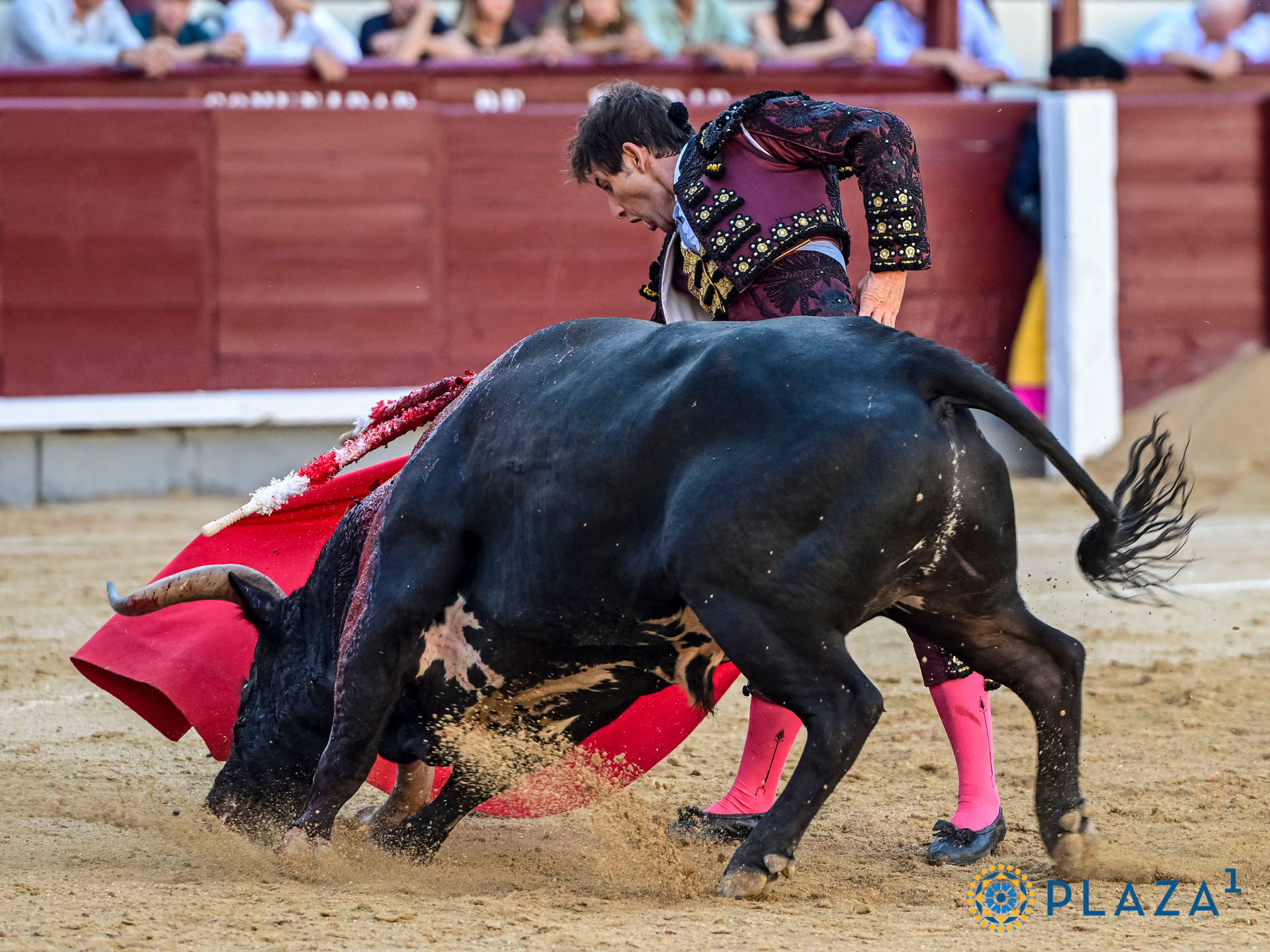 Reseña Madrid – 13 septiembre 2026